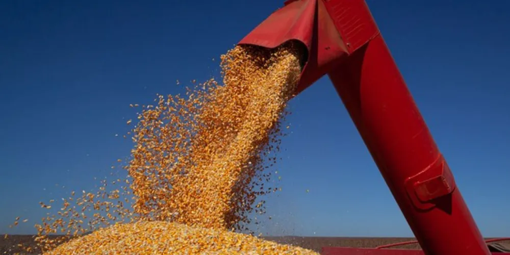 Entre as principais lavouras do país, neste ano são esperadas altas de 7,1% para a soja, de 7,8% para o arroz, de 0,4% para o milho e de 2,9% para o algodão herbáceo. 