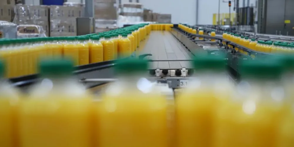 A laranja é a fruta mais produzida no Paraná e em todo o Brasil.