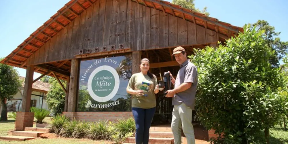 Paraná é o maior produtor da matéria-prima sombreada para o chimarrão no país – foram 532,89 mil toneladas em 2018.