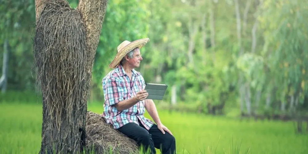 Imagem ilustrativa da imagem Governo quer ampliar tecnologia na agricultura