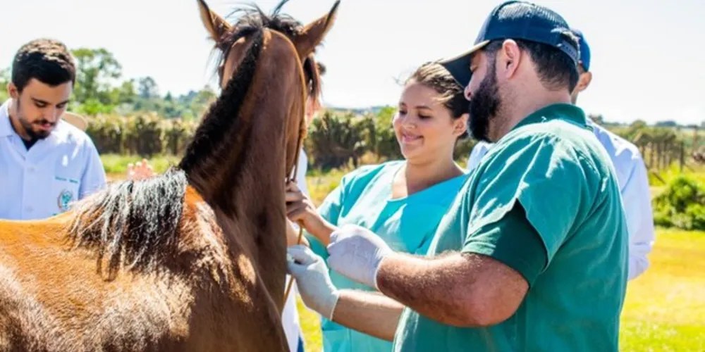 Imagem ilustrativa da imagem Cescage oferta graduações na área de agropecuária