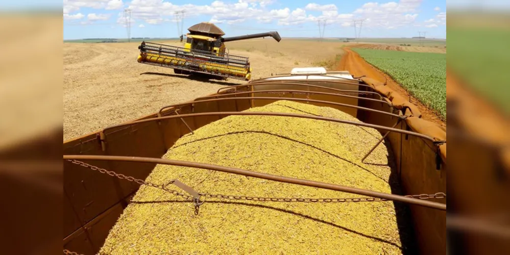 O desempenho do agronegócio contribuiu para reduzir os impactos da pandemia sobre o conjunto da economia paranaense. 