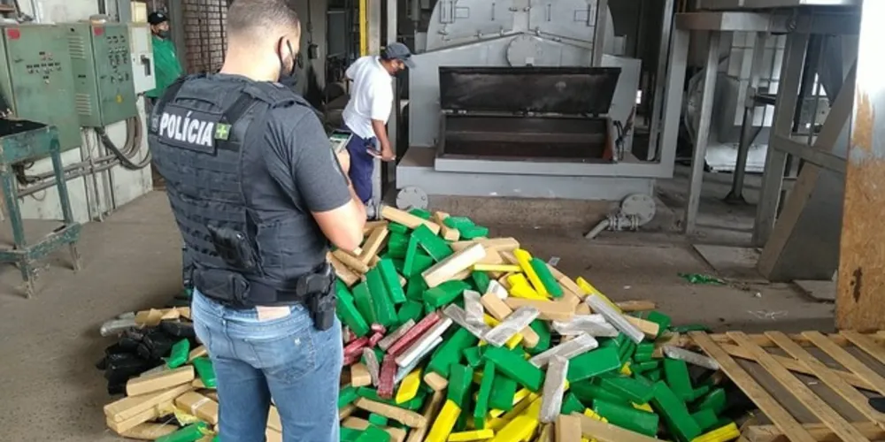 Imagem ilustrativa da imagem Polícia Civil de PG incinera grande volume de drogas
