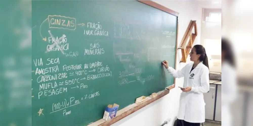 Com duração mínima de 5 anos, o curso foi reconhecido por decreto em 2002. Atualmente, possui 17 professores e 140 alunos.
