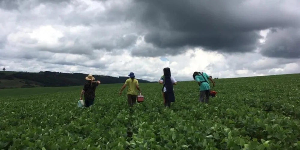 Maria Baptista promove, neste fim de semana (20/12), uma intervenção de arte ambiental na fronteira com o Parque Nacional dos Campos Gerais