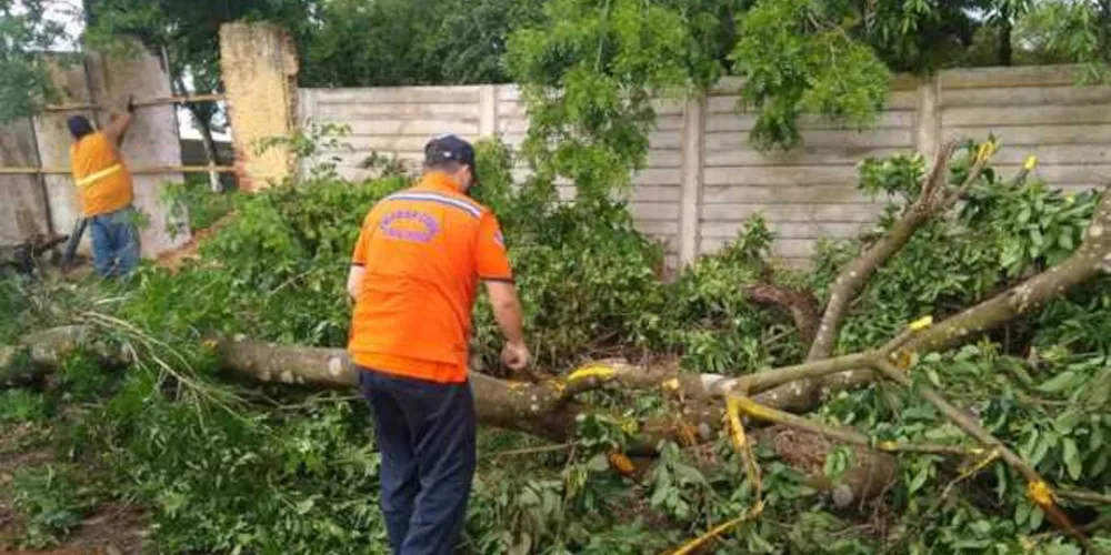 Quedas de árvores e destelhamentos mobilizaram autoridades neste sábado