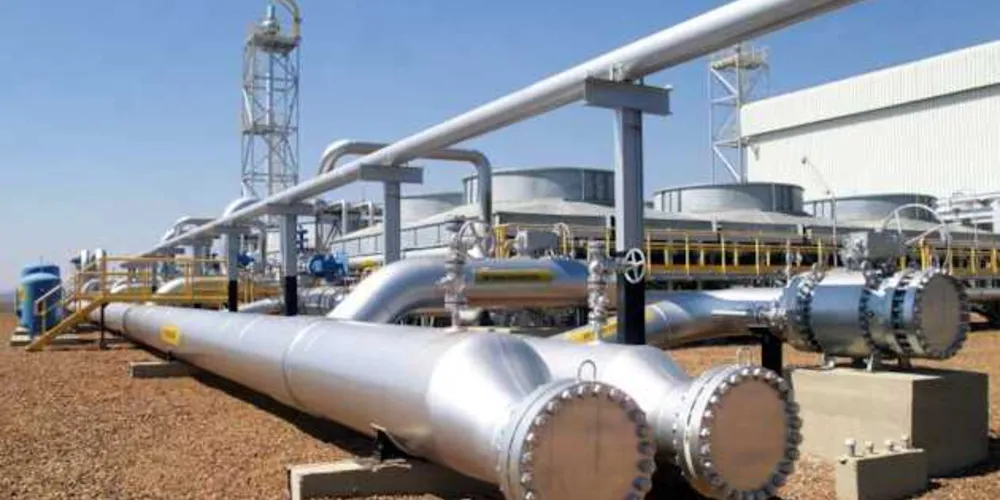 No modelo atual, a Petrobras participa com 100% da importação e do processamento e com cerca de 80% da produção. 