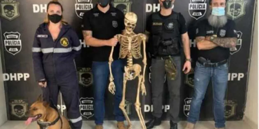 Segundo as investigações da Divisão de Homicídios e Proteção à Pessoa (DHPP), um cão era usado para amedrontar as pessoas e atacá-las durante os assassinatos