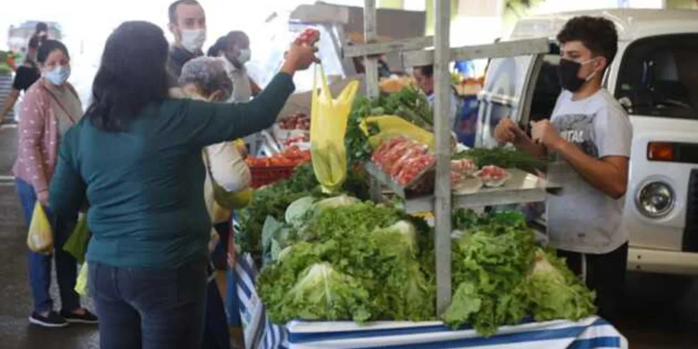 Para este fim de ano, principal novidade das feiras é a maior oferta de frutas específicas da época