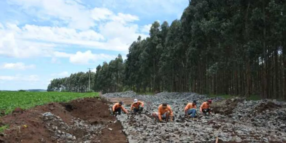 De acordo com a engenheira da prefeitura, já foram executados em torno de 600 metros de pavimento