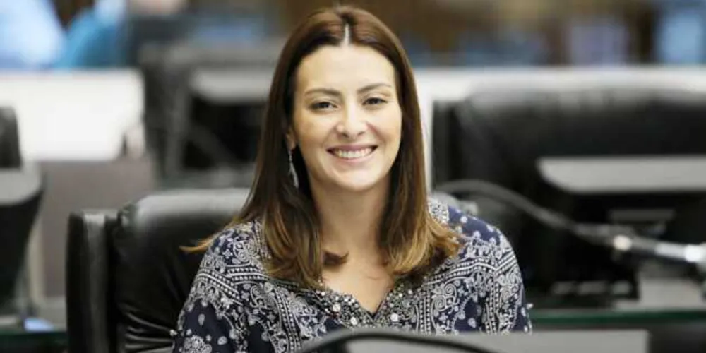Perspectiva para o próximo ano, de acordo com a deputada, será o de continuar representando os interesses de Ponta Grossa e dos municípios dos Campos Gerais