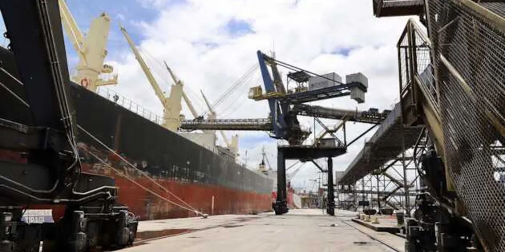 De janeiro a novembro, pelo complexo, foram exportadas cerca de 19,46 milhões de toneladas de grãos e farelo, principalmente soja (13,34 milhões).