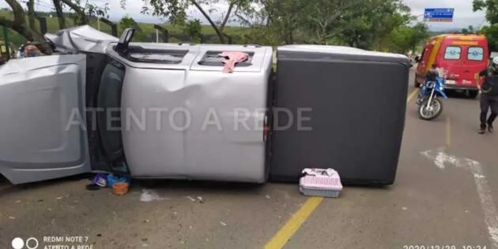 Após o acidente, gatinho fugiu e ainda não foi encontrado