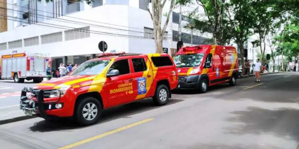 Imagem ilustrativa da imagem Em Curitiba, porteiro salva animais de incêndio em apartamento