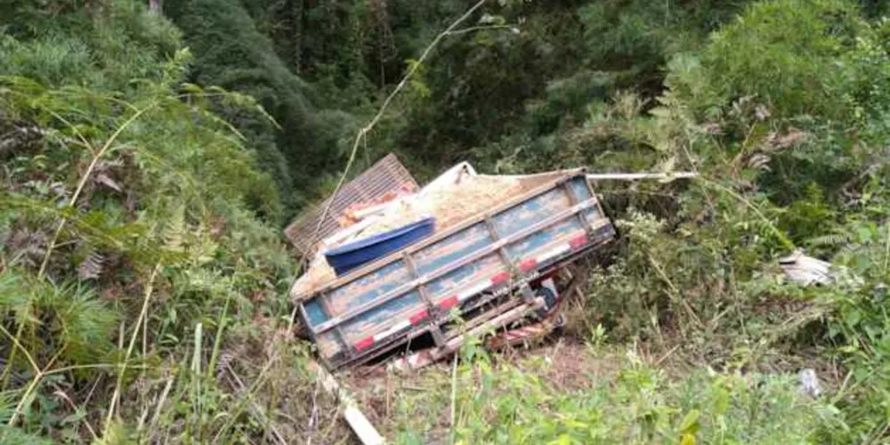 Imagem ilustrativa da imagem Caminhão sem freio despenca de barranco