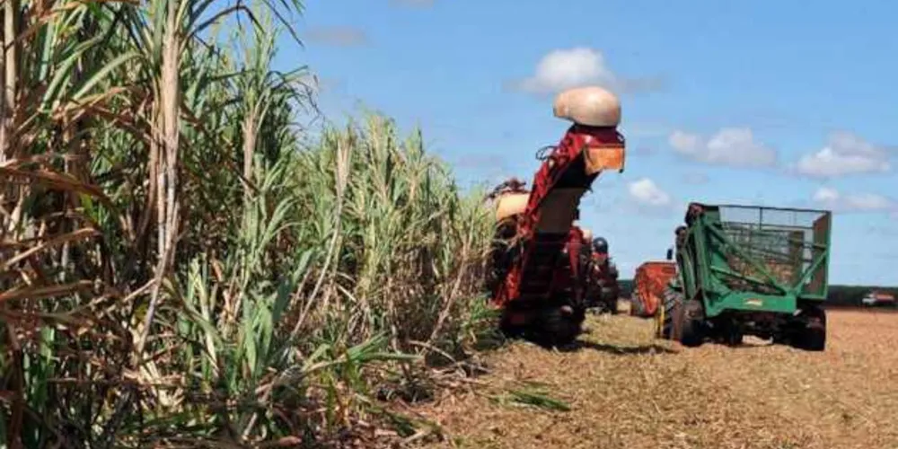 O Balanço de Financiamento Agropecuário da Safra 2020/2021, aponta que o destaque é do crédito para investimento, que chegou a quase R$ 40 bilhões, ao subir 44%. 