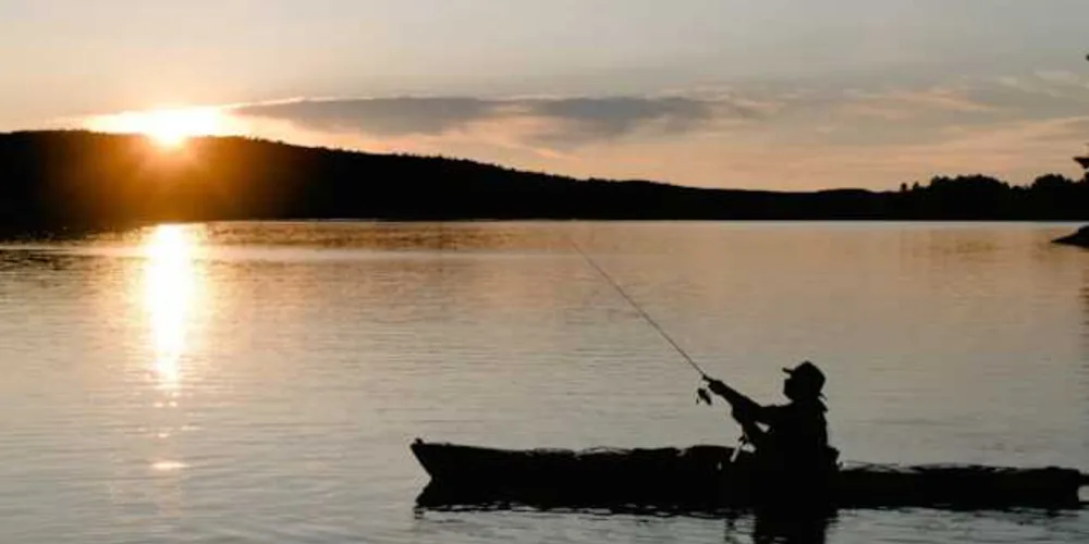O objetivo é incentivar o consumo de peixes como o robalo, corvina, pescada e badejo. 