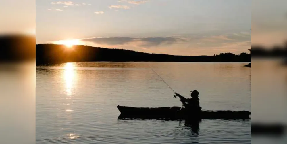 O objetivo é incentivar o consumo de peixes como o robalo, corvina, pescada e badejo. 