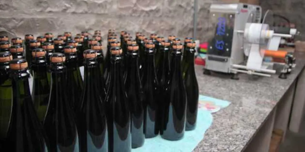 O resultado ilustra como o Paraná, apesar de produzir apenas 1% dos vinhos brasileiros, tem feito as bebidas de melhor qualidade em todo o território nacional.