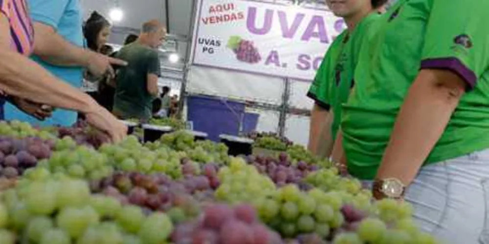 Imagem ilustrativa da imagem 38ª Festa da Uva em PG começa nesta Terça-Feira