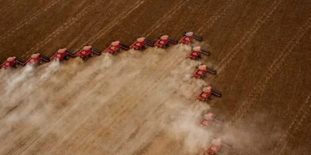 Segundo o IBGE, a estimativa final para a produção de cereais, leguminosas e oleaginosas de 2020 totalizou 254,1 milhões de toneladas.
