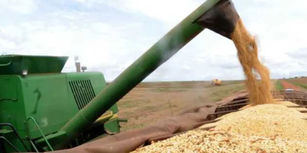 A projeção apresentada leva em conta o aumento de 3,4% na área destinada à plantação da oleaginosa.