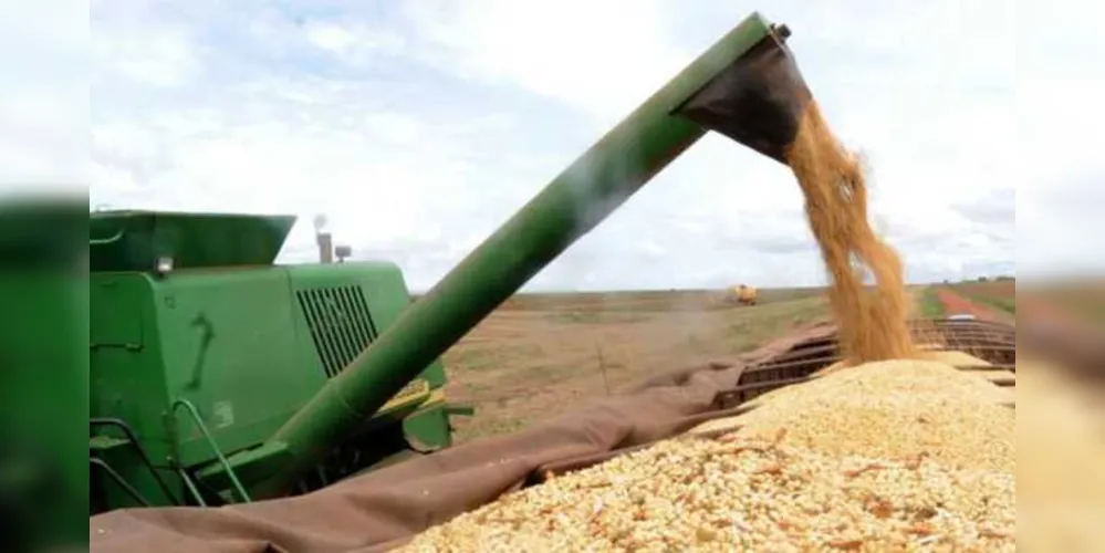 A projeção apresentada leva em conta o aumento de 3,4% na área destinada à plantação da oleaginosa.