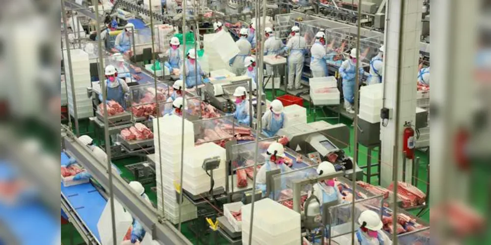 A maior variação foi na suinocultura, com aumento de 11,56% na produção entre janeiro a setembro, com 705 mil toneladas produzidas
