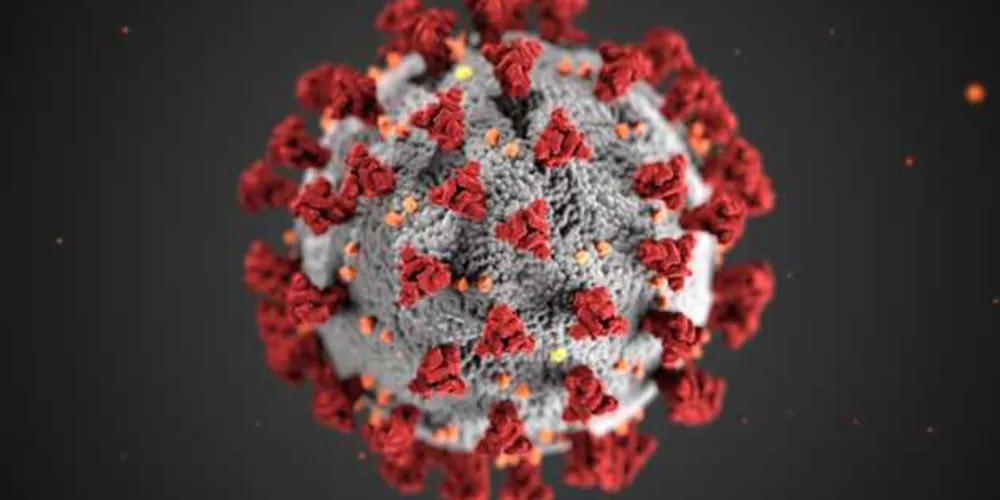 Imagem ilustrativa da imagem Infecção por covid-19 dá alguma imunidade, diz estudo