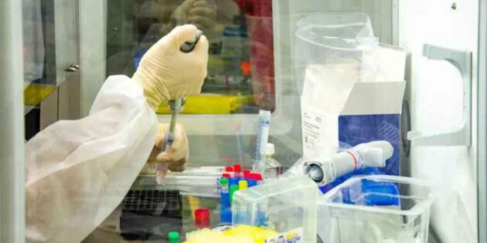 O total de vidas perdidas para a pandemia subiu para 207.095.