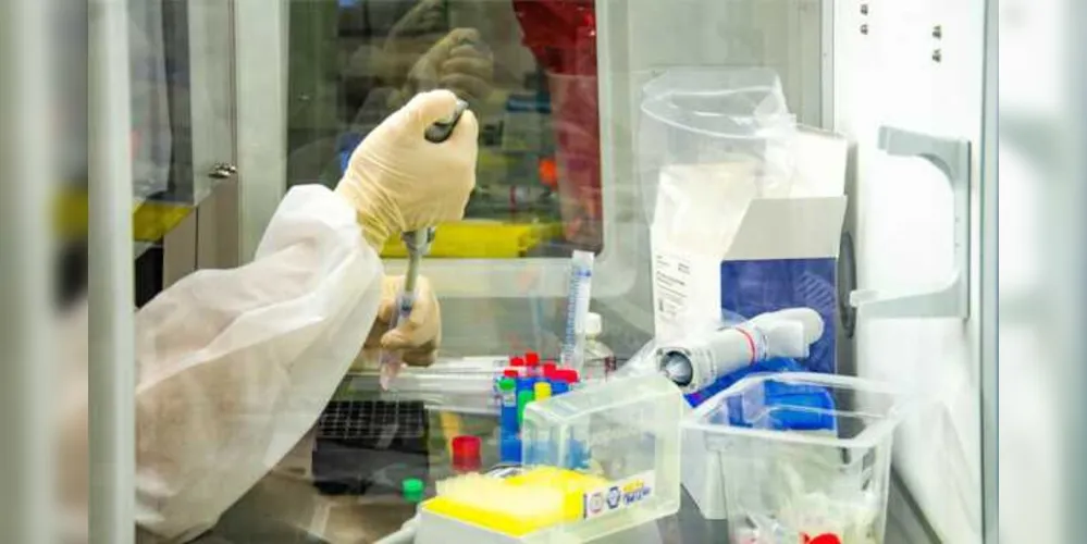 O total de vidas perdidas para a pandemia subiu para 207.095.