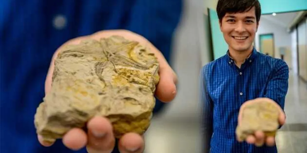 Com essa descoberta dos fósseis de duas espécies até então desconhecidas, agrega maior valor à pesquisa científica nessa região.