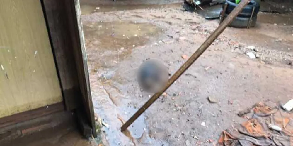 Tempestade afetou principalmente moradores do Jardim Carvalho e da Vila Liane