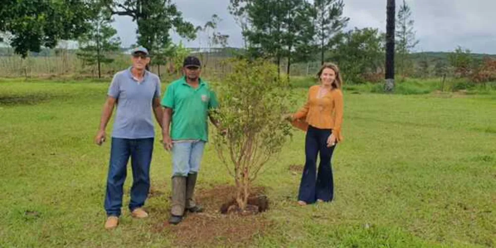 Novo programa de arborização teve início na manhã desta segunda-feira (18)