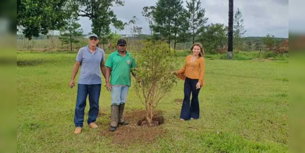 Novo programa de arborização teve início na manhã desta segunda-feira (18)