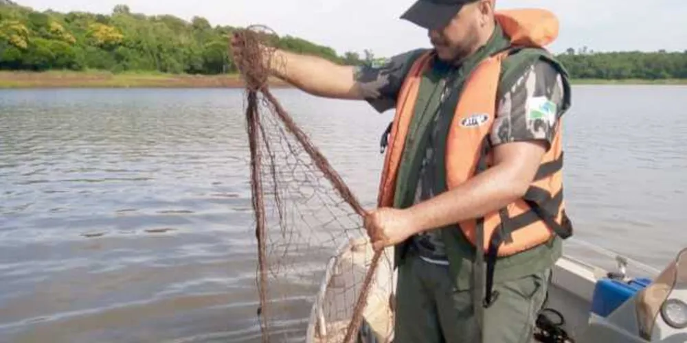 Três multas foram aplicadas em Diamante do Oeste pelas equipes de terra, onde foram apreendidas três máquinas que estavam desmatando uma área de 27,9 hectares.