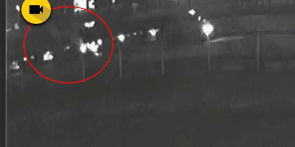 Imagem ilustrativa da imagem Vídeo mostra acidente entre caminhões na BR-376