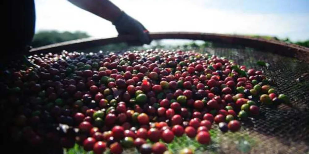 Segundo a estatal, no item “Consulta Preços Diários” está presente uma nova ferramenta, que tem a interface mais moderna, prática e intuitiva.  