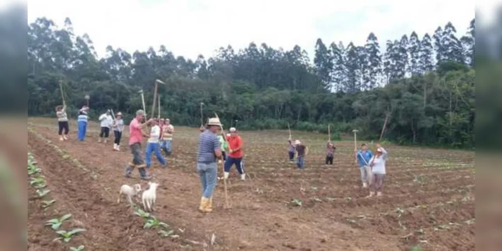 Amigos e familiares pegaram na enxada e garantiram a limpeza da lavoura