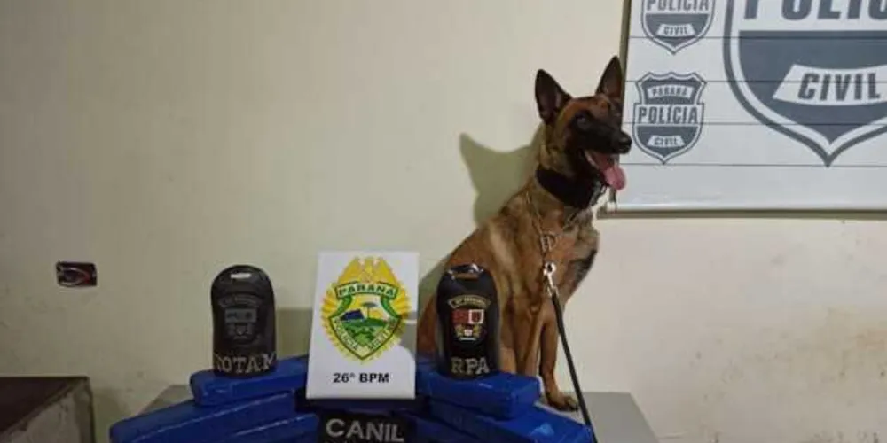 Autoridades encontraram cerca de 14 kg de maconha durante operação