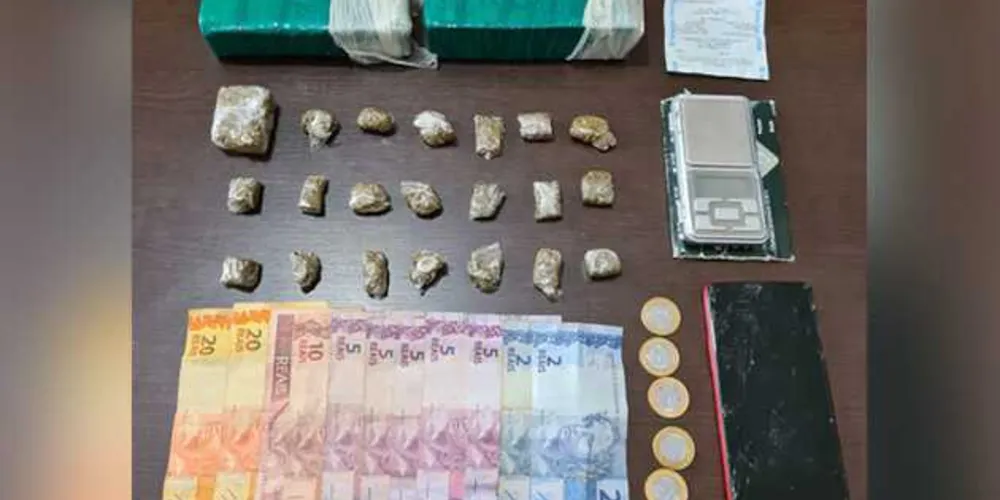 Parte da maconha apreendida já estava embalada para ser revendida a usuários