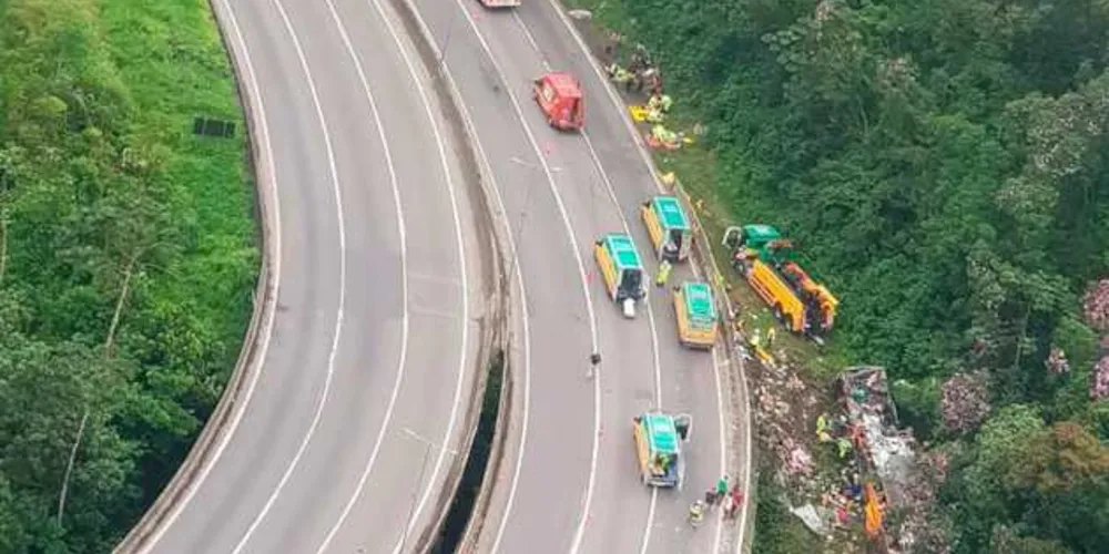 Imagem ilustrativa da imagem Sobrevivente de tragédia na BR-376 é preso logo após receber alta