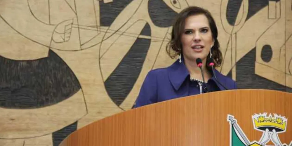 Noeli Reback preside entidade nacional que estabelece linha de atuação com diretrizes unificadas na área da Infância e Juventude