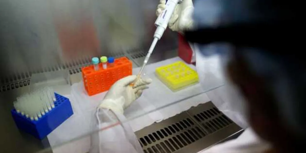Desde o início da pandemia no país, Paraná soma quase 10 mil mortos pela covid-19