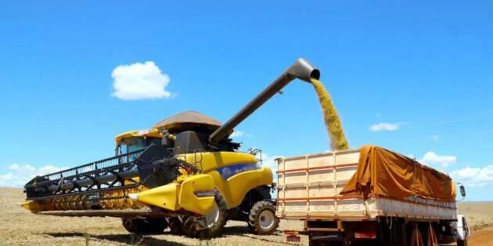 Imagem ilustrativa da imagem Contratação de crédito rural registra alta