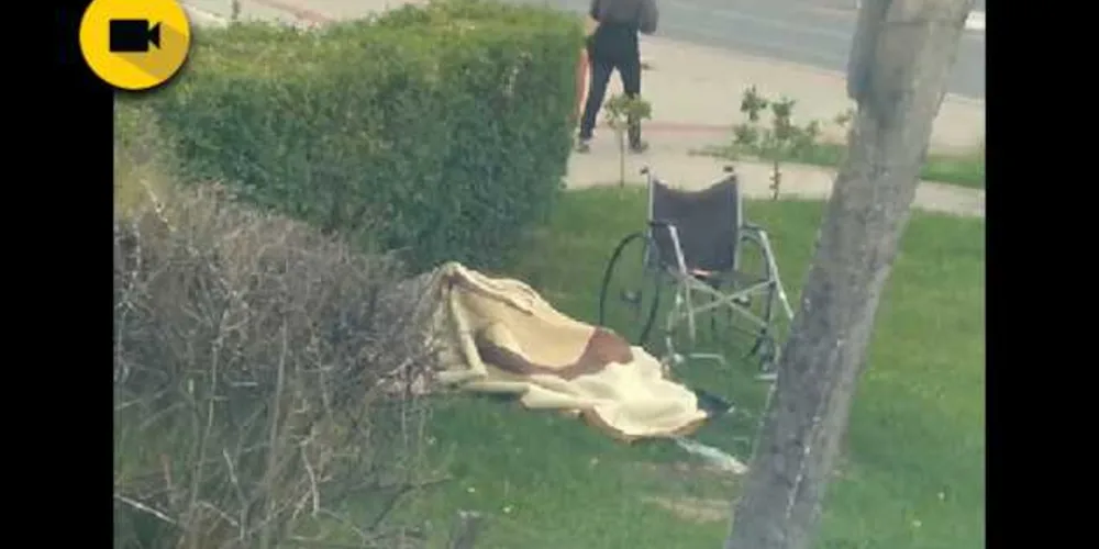 Imagem ilustrativa da imagem Vídeo flagra cenas de sexo no jardim da Rodoviária de PG