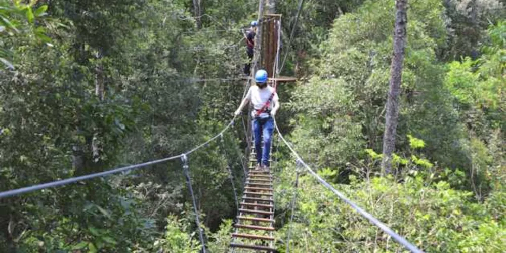 Arvorismo estará funcionando todos os dias desse Carnaval