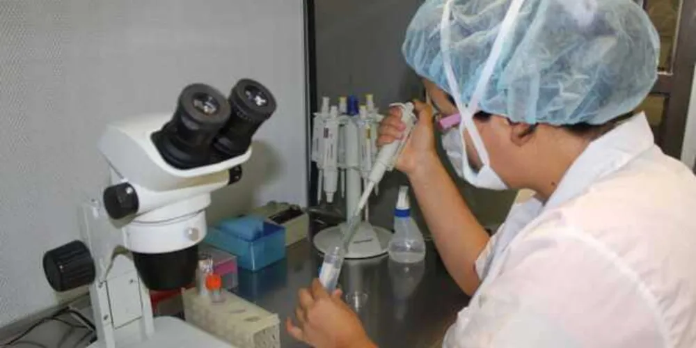 O projeto reúne mais de 200 pesquisadores de instituições de ensino e pesquisa públicas e privadas.