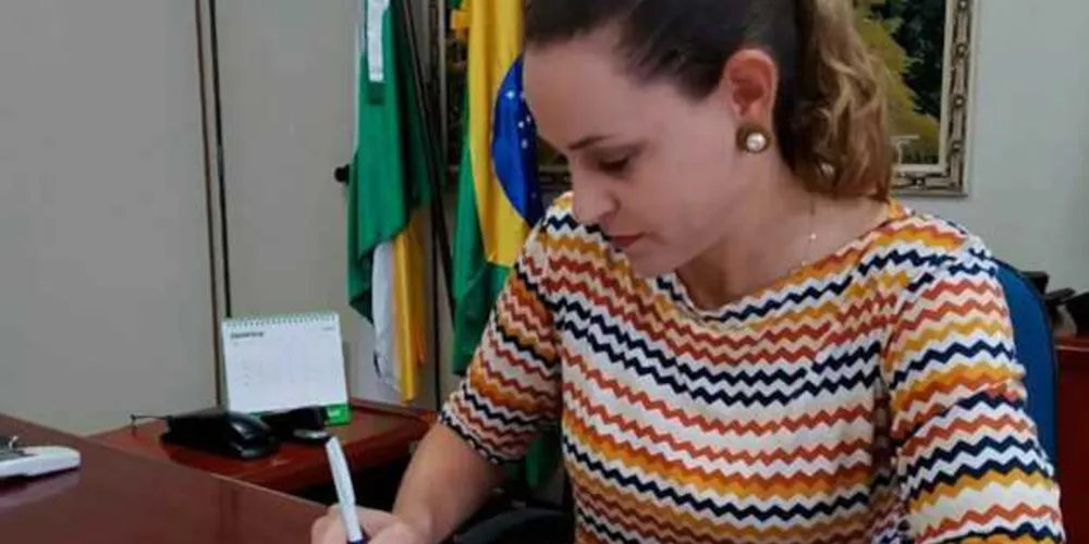 Imagem ilustrativa da imagem Teixeira Soares busca ampliar geração de empregos