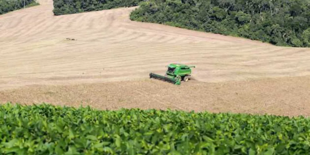 Excesso de chuva e estiagem foram os dois principais fatores para a quebra da colheita na Regional de Ponta Grossa